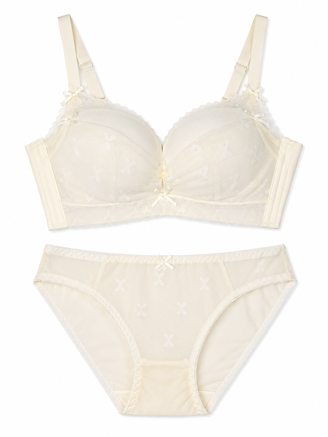 Delicate Lace & Butterfly Mesh Design Soft Paded Bra & Panty Set