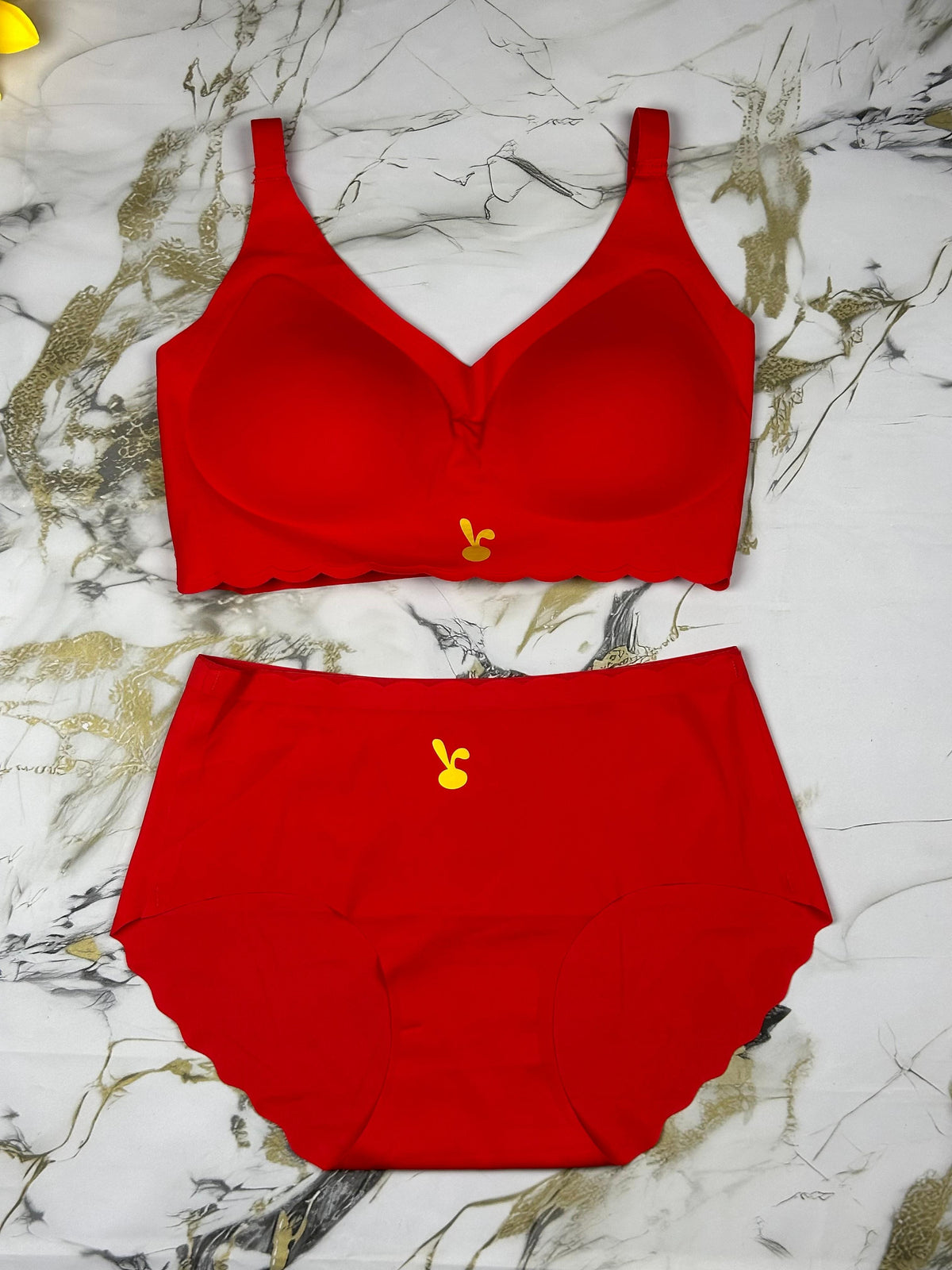 Seamless Comfort Bra & Panty Set – Premium Soft Fabric with Removable Pads
