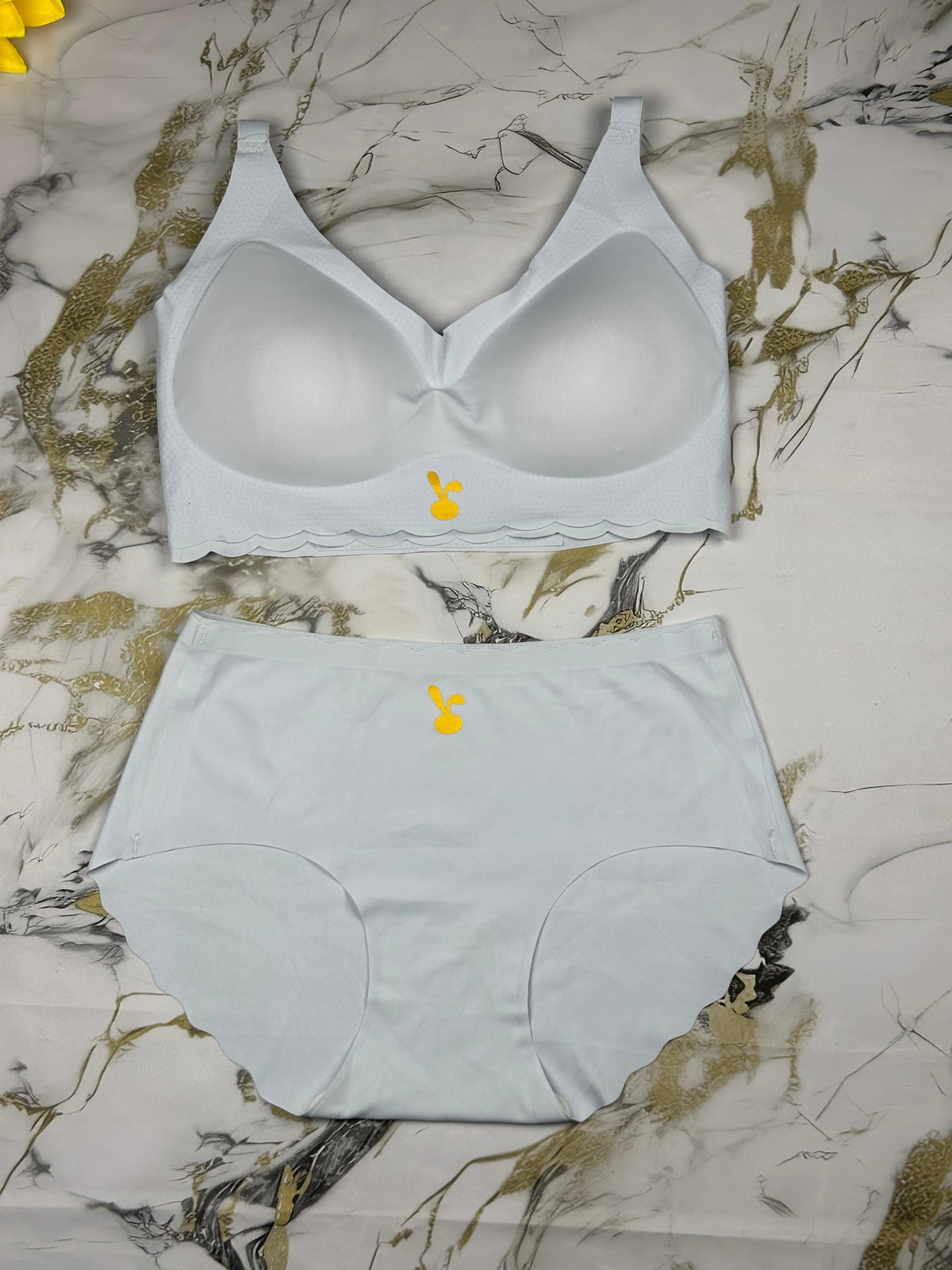 Seamless Comfort Bra & Panty Set – Premium Soft Fabric with Removable Pads