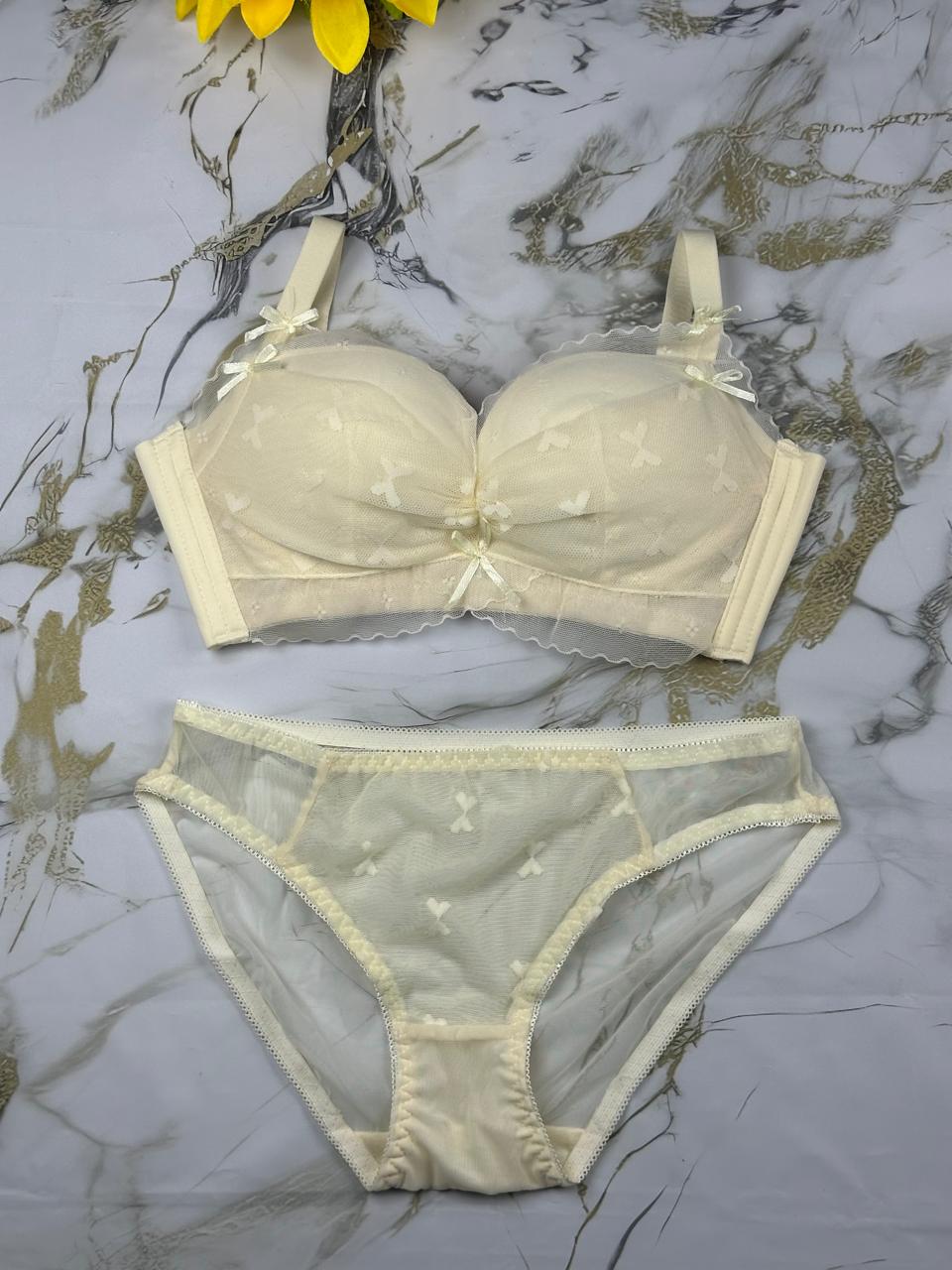 Delicate Lace & Butterfly Mesh Design Soft Paded Bra & Panty Set
