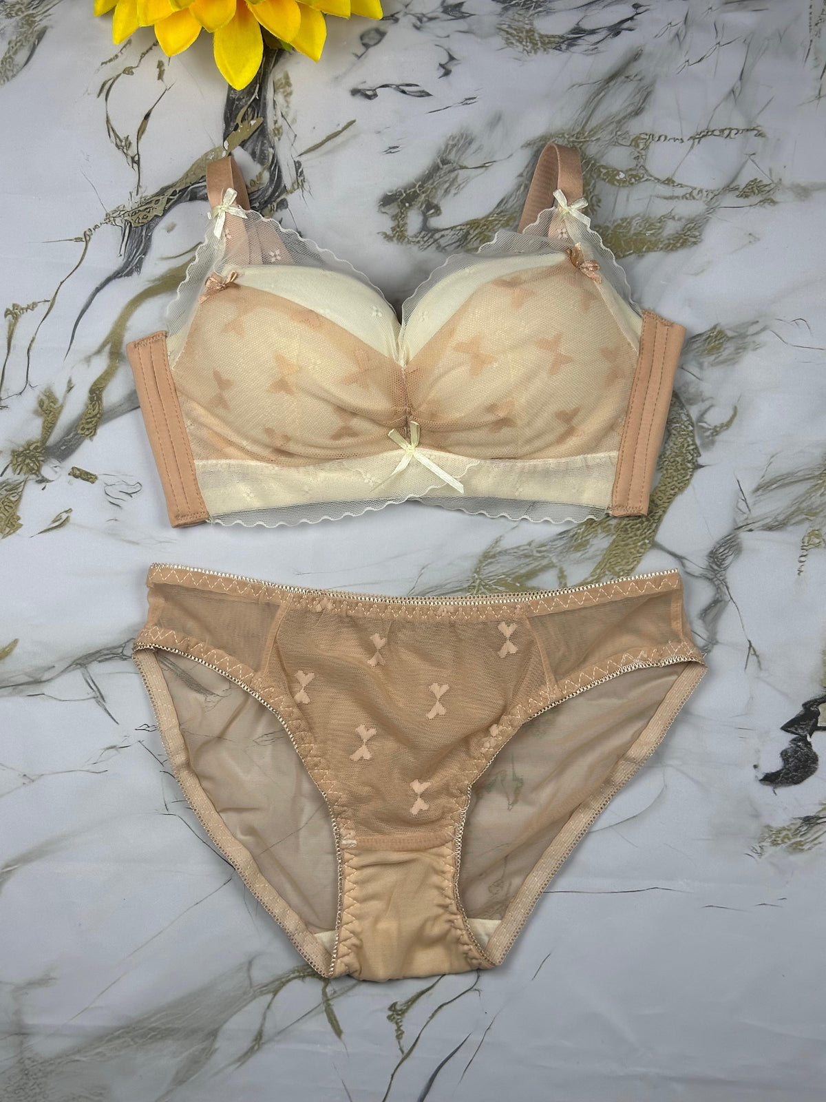 Delicate Lace & Butterfly Mesh Design Soft Paded Bra & Panty Set