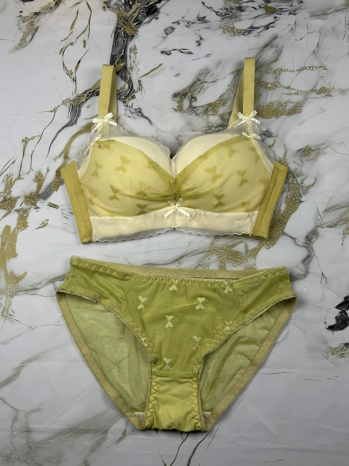 Delicate Lace & Butterfly Mesh Design Soft Paded Bra & Panty Set